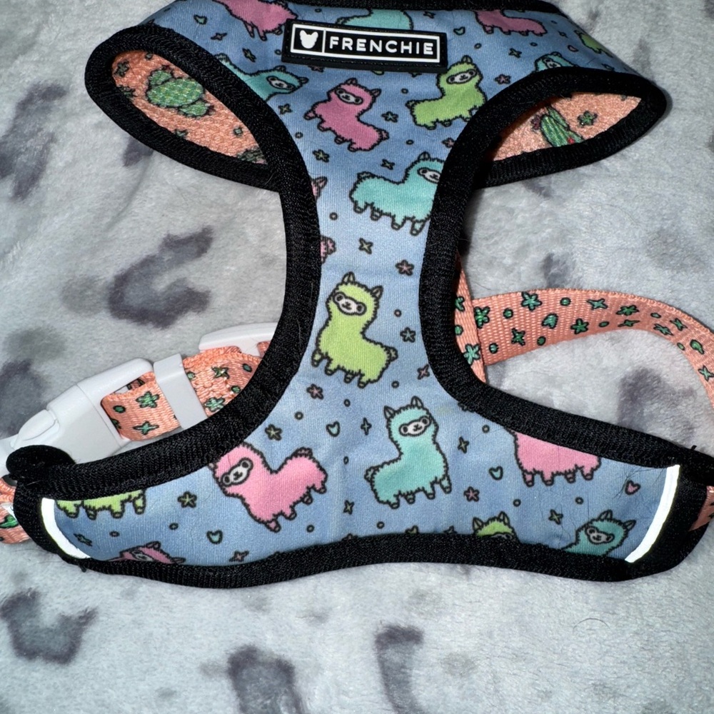 Frenchie Blue Llama Dog Harness and Matching Leash
